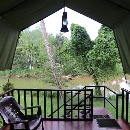 360 Rainforest Deniyaya Bagian luar foto