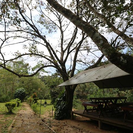 360 Rainforest Deniyaya Bagian luar foto