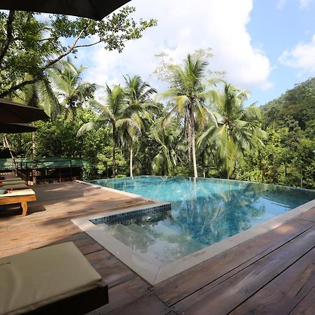 360 Rainforest Deniyaya Bagian luar foto