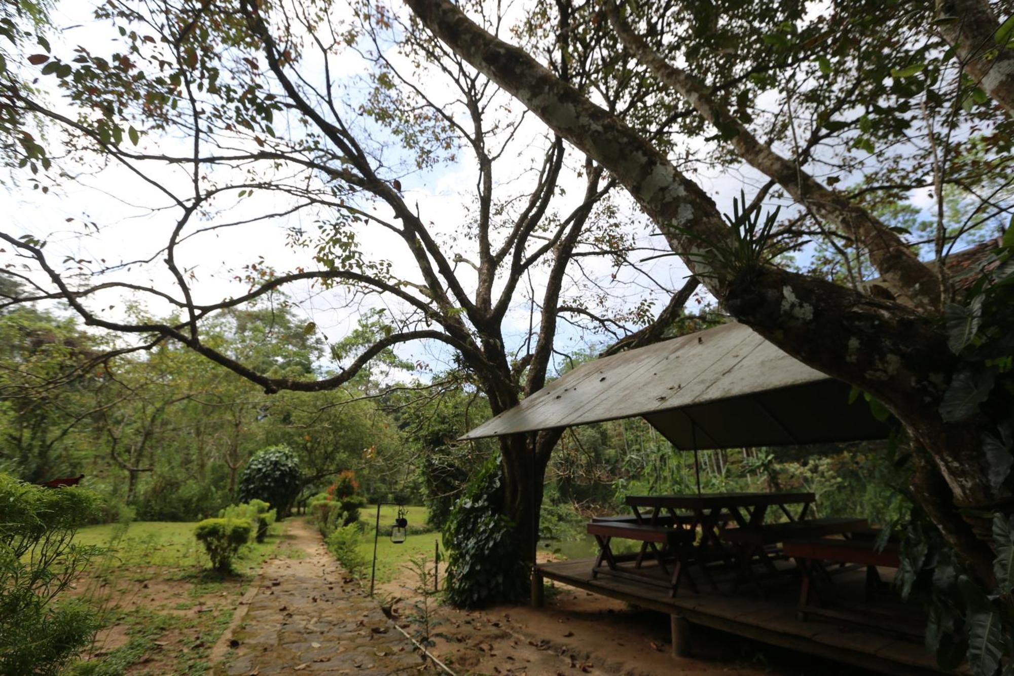 360 Rainforest Deniyaya Bagian luar foto
