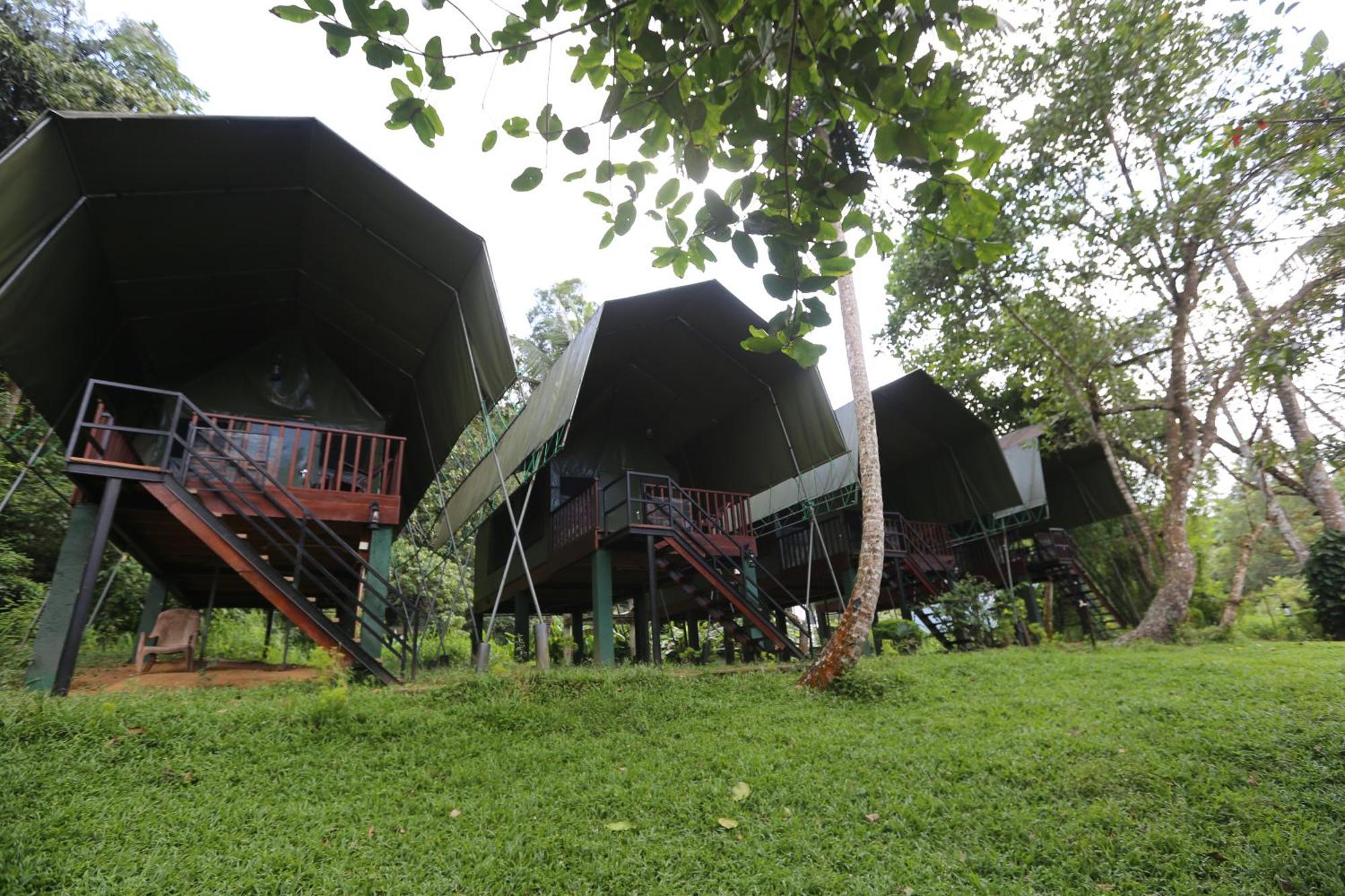 360 Rainforest Deniyaya Bagian luar foto
