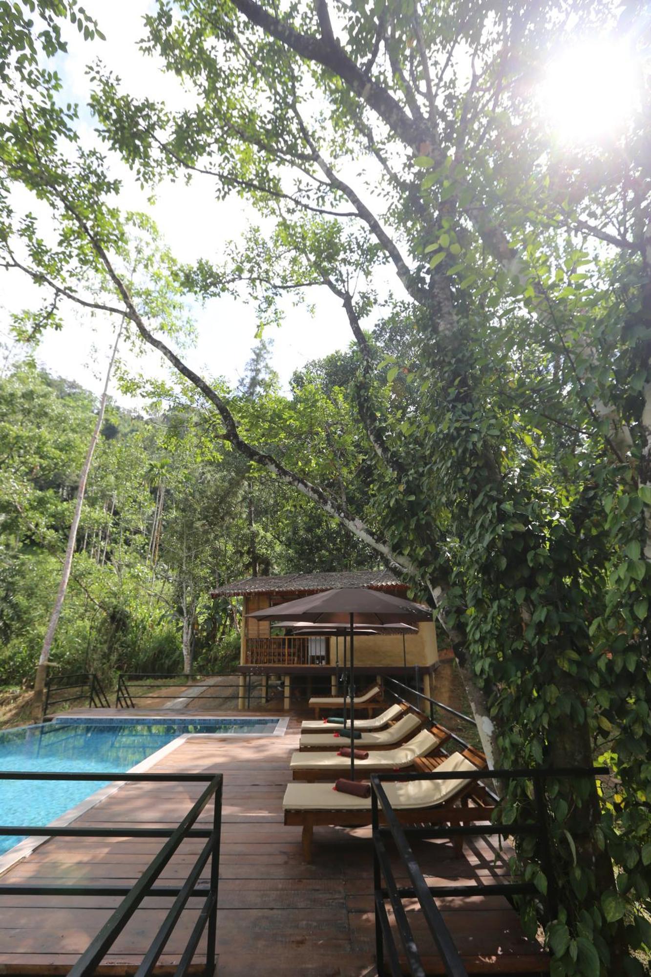 360 Rainforest Deniyaya Bagian luar foto