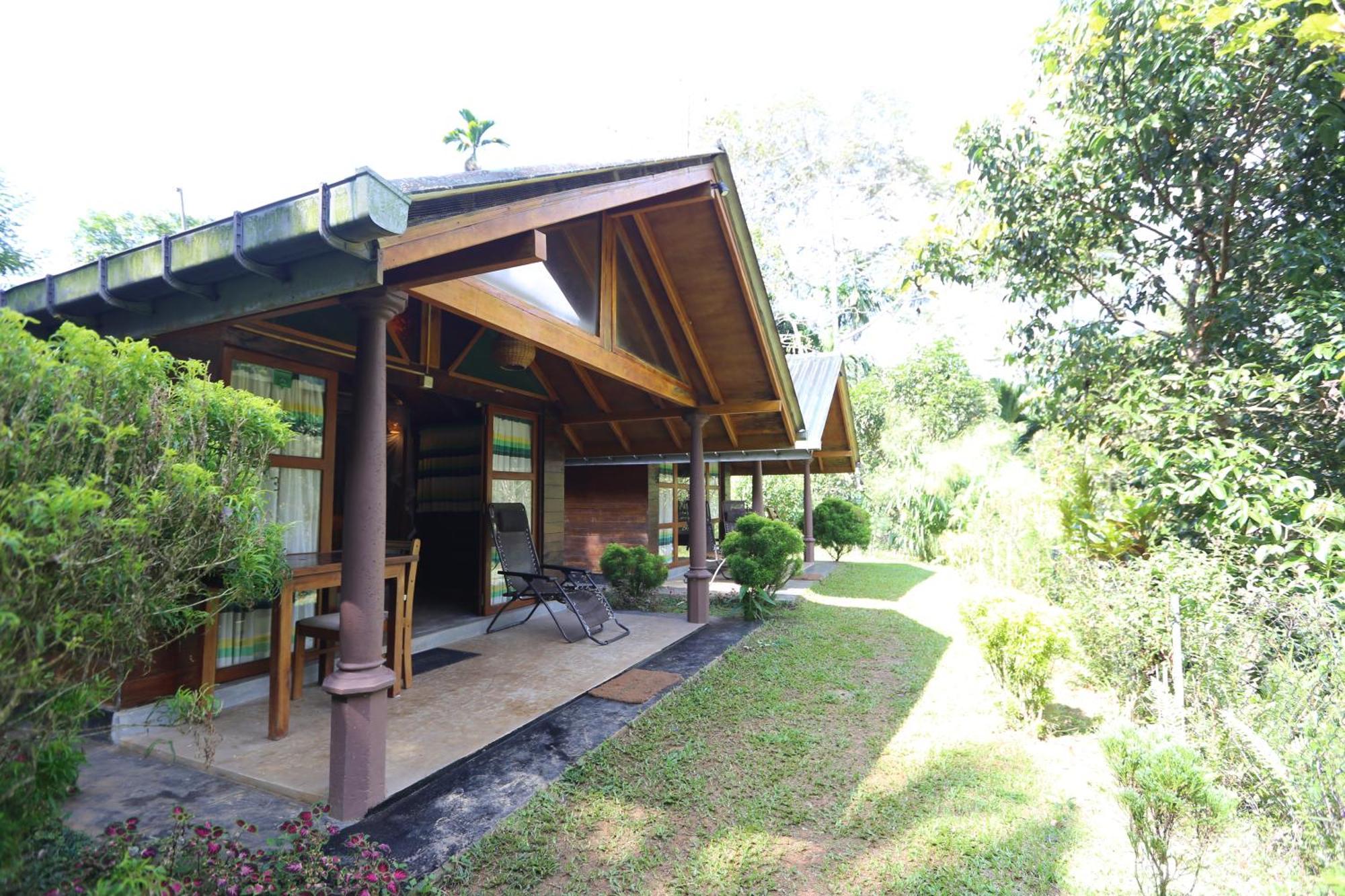 360 Rainforest Deniyaya Bagian luar foto