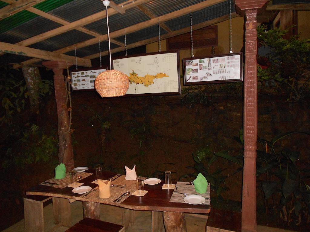 360 Rainforest Deniyaya Ruang foto
