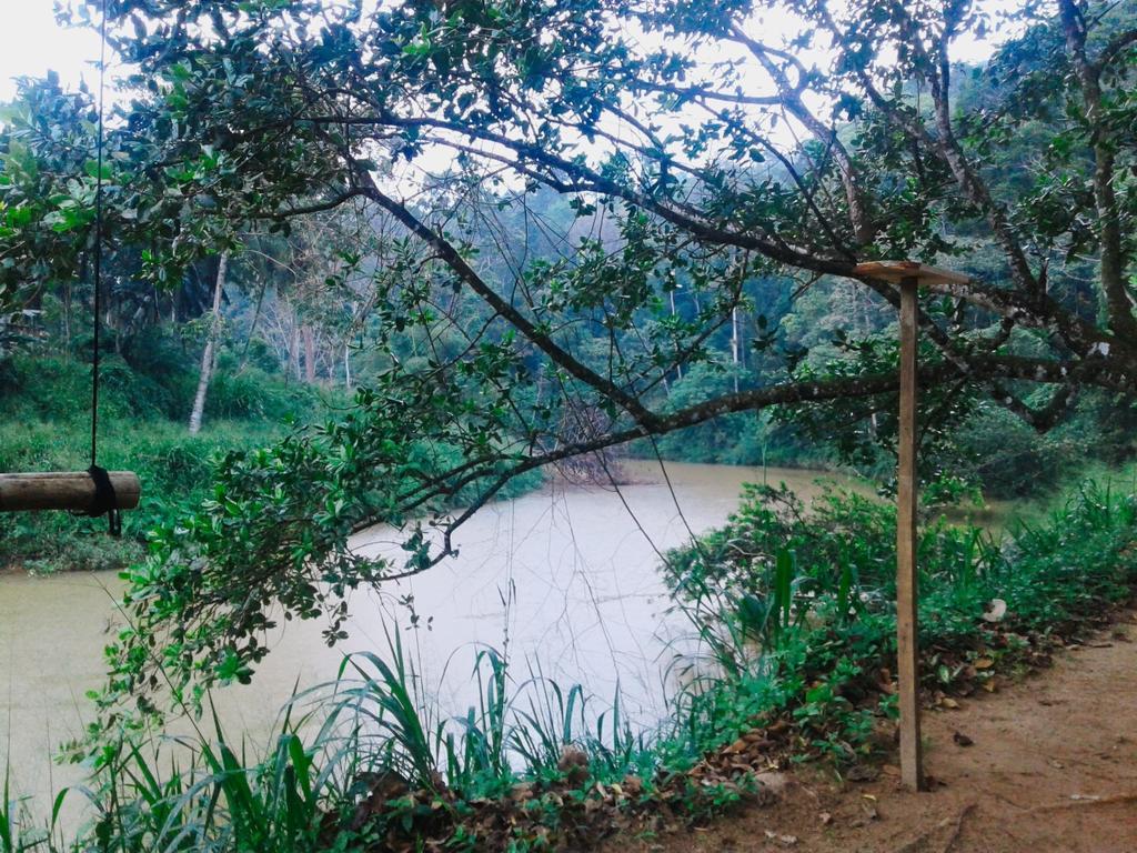 360 Rainforest Deniyaya Bagian luar foto