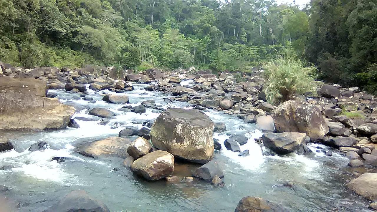 360 Rainforest Deniyaya Bagian luar foto