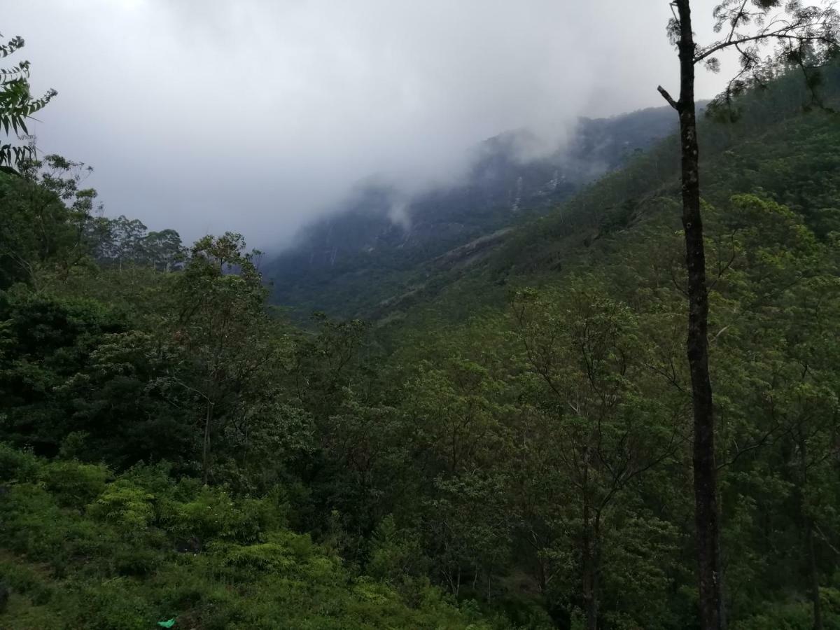 360 Rainforest Deniyaya Bagian luar foto