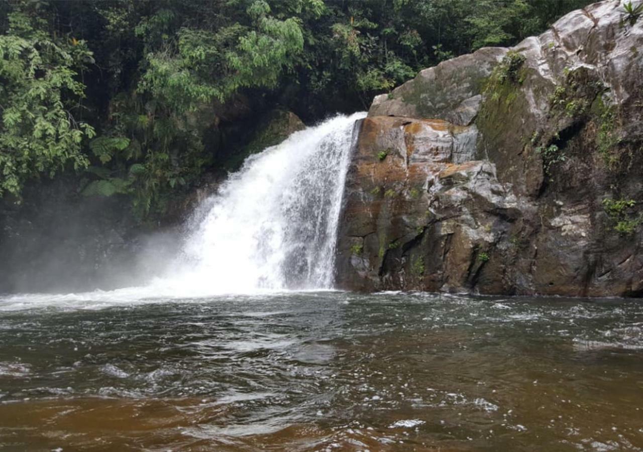 360 Rainforest Deniyaya Bagian luar foto