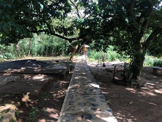 360 Rainforest Deniyaya Bagian luar foto