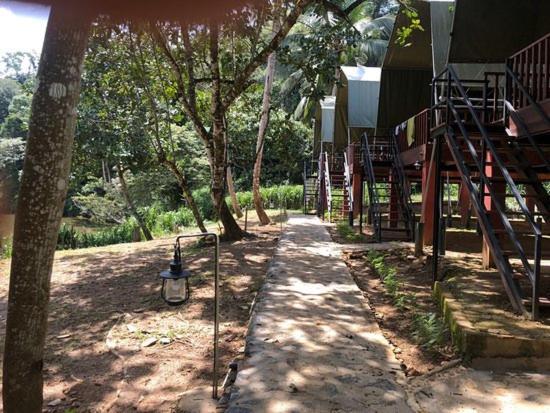 360 Rainforest Deniyaya Bagian luar foto
