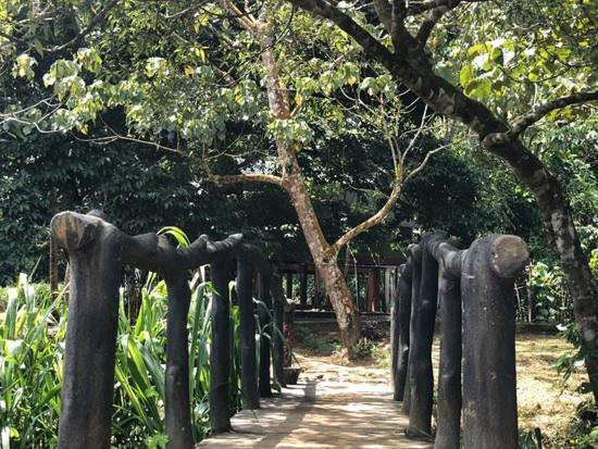 360 Rainforest Deniyaya Bagian luar foto