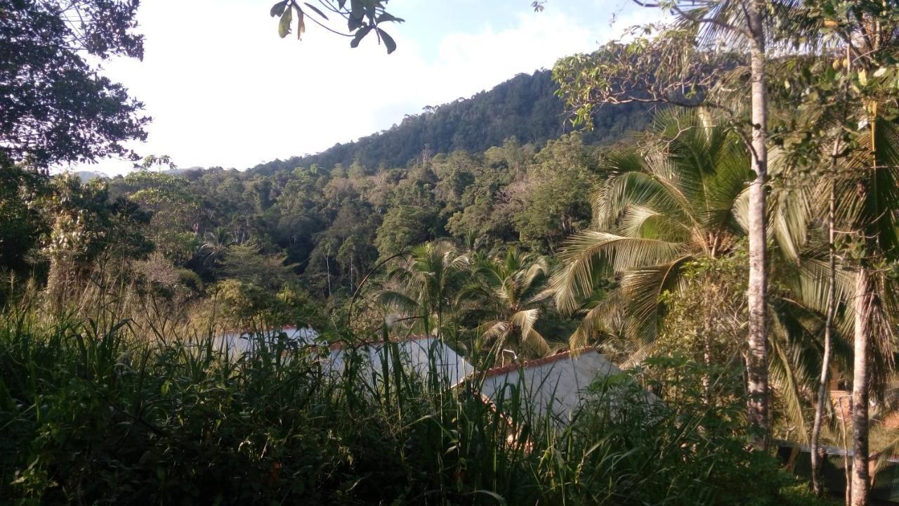 360 Rainforest Deniyaya Bagian luar foto