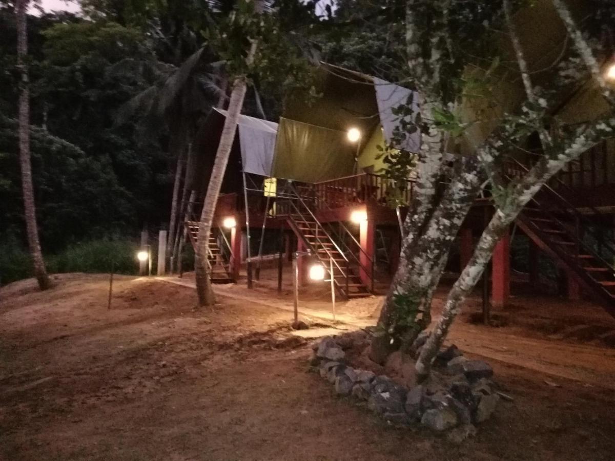 360 Rainforest Deniyaya Bagian luar foto